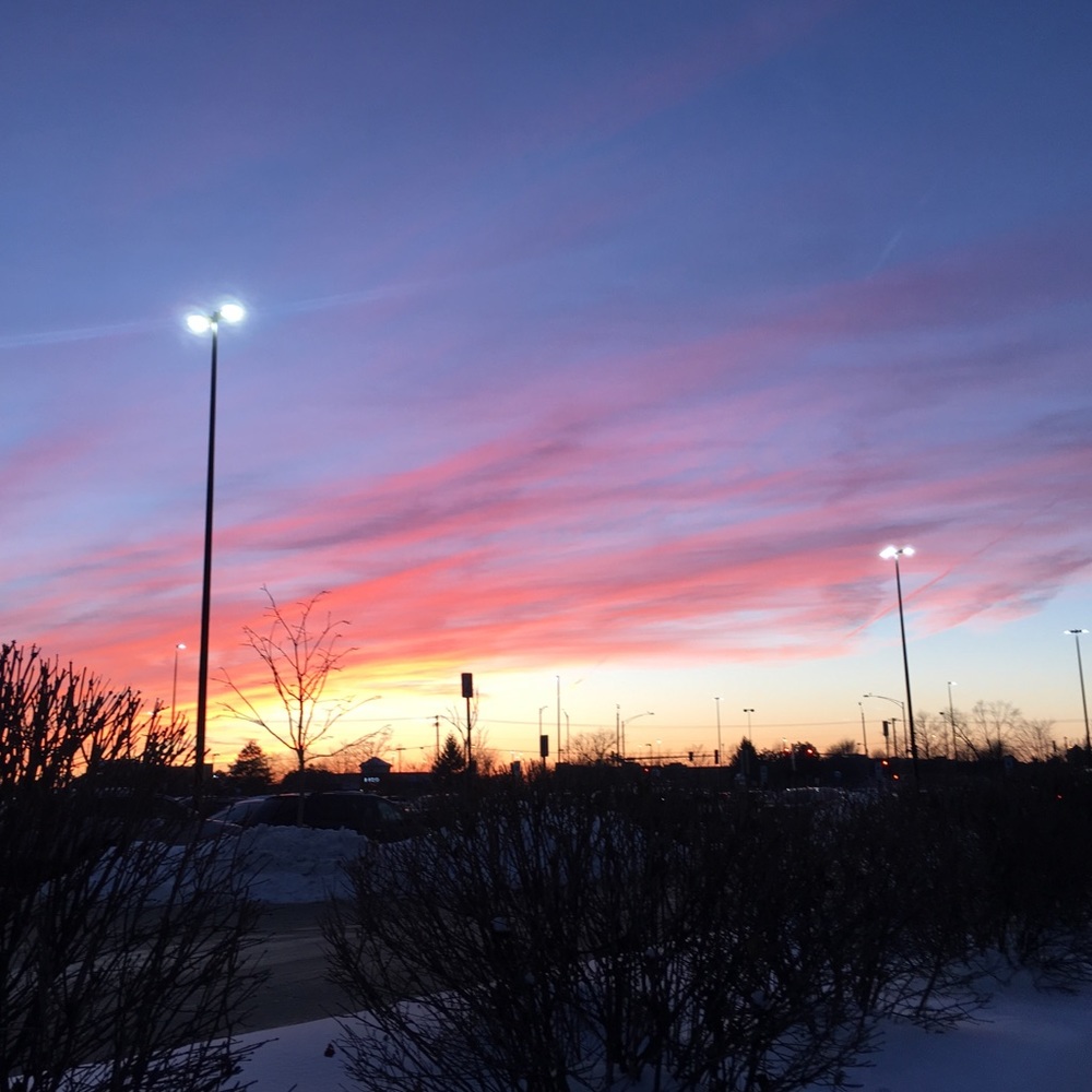 Meet your Posher, Alicia